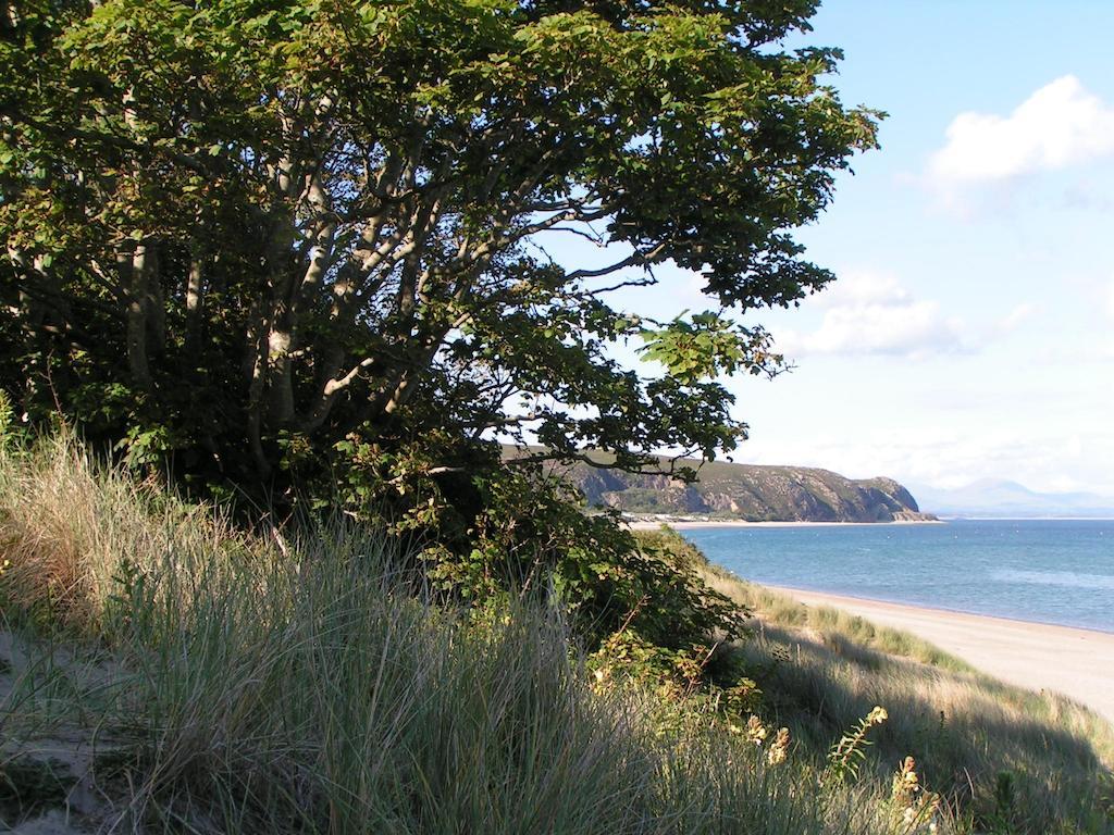 Pen Llyn Bed And Breakfast Dinas エクステリア 写真